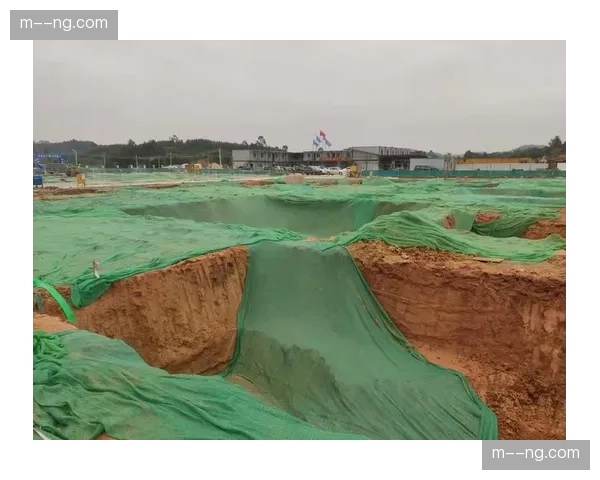 富勒姆帕利尼亚拦截数据，防守型中场的地面覆盖面积分析